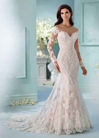 Eva's Bridal International 216239 #0 default thumbnail