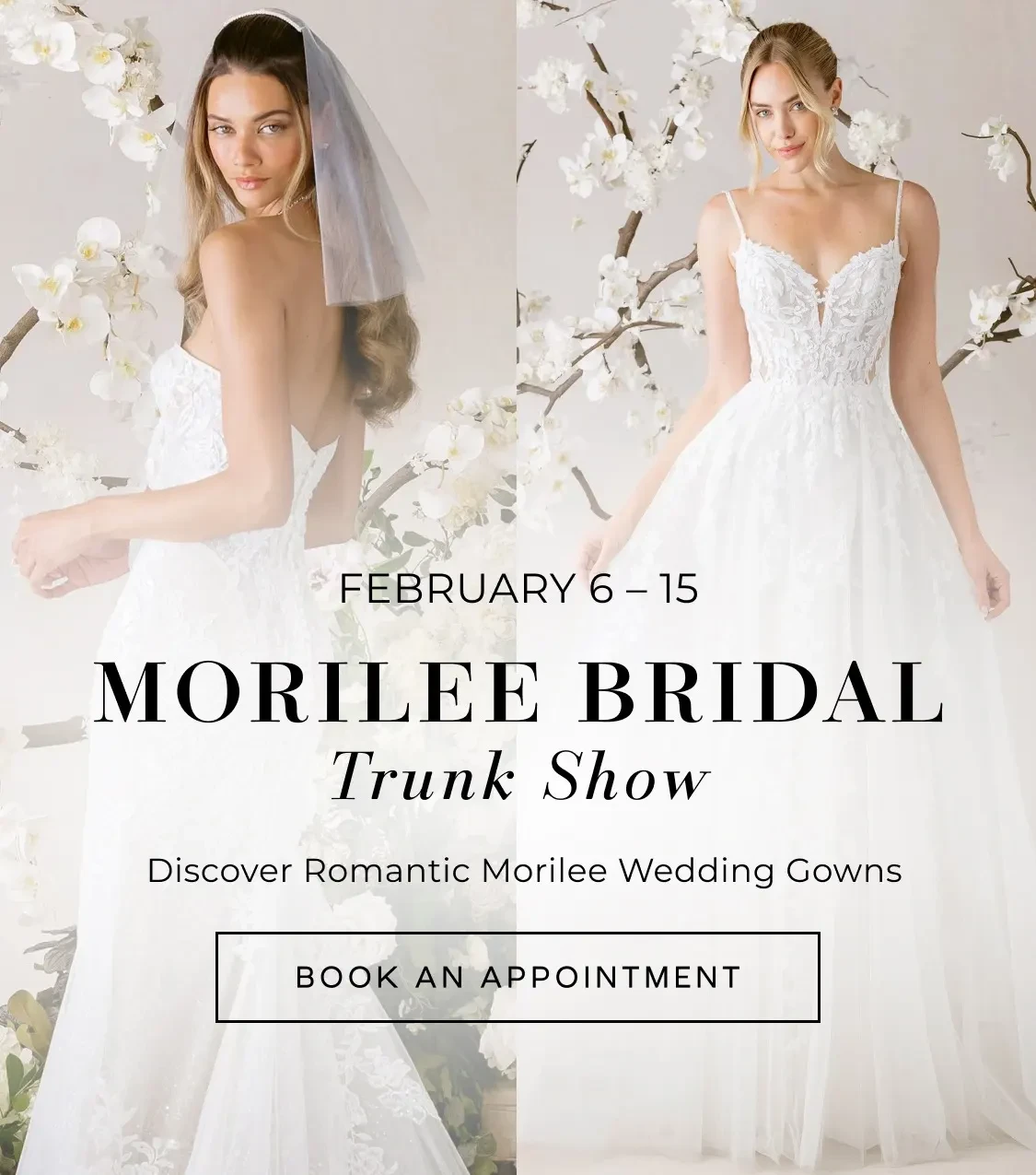 morilee bridal trunk show banner 2026