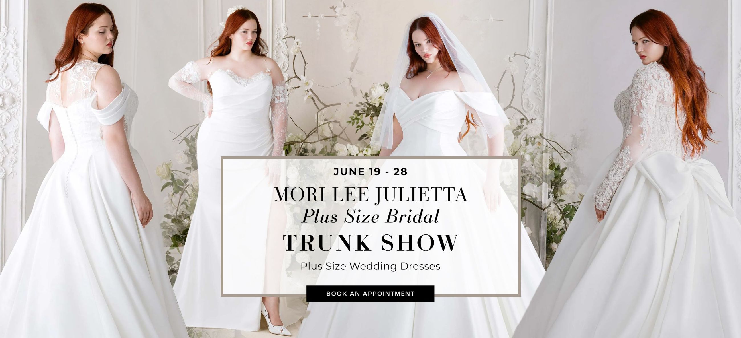 julietta plus size trunk show banner
