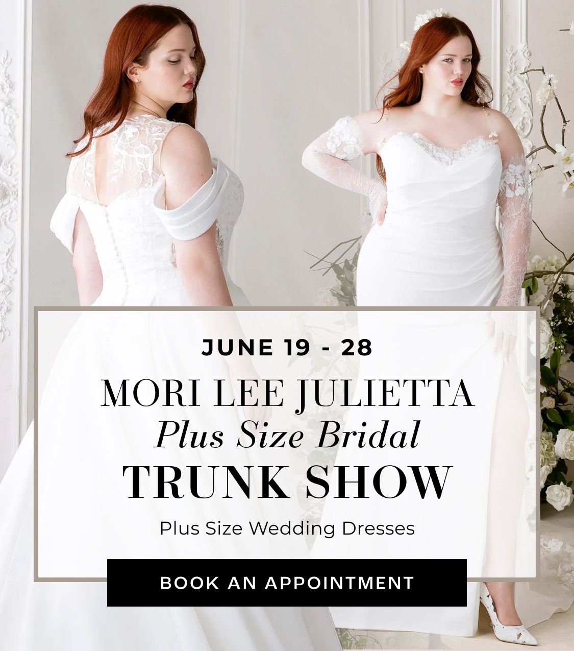 julietta plus size trunk show banner